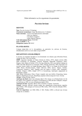 eradiquee Book