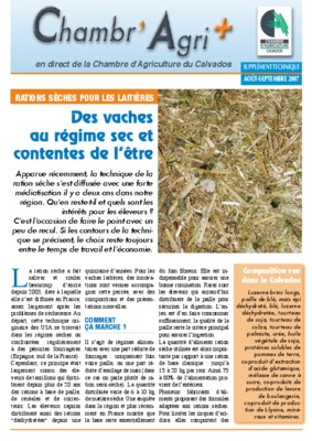 contentes Book