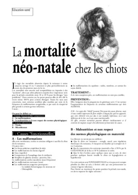 chiots Book