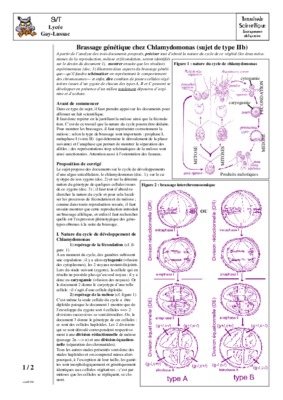 genetique terminale Book