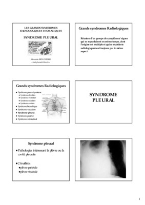 pleural Book