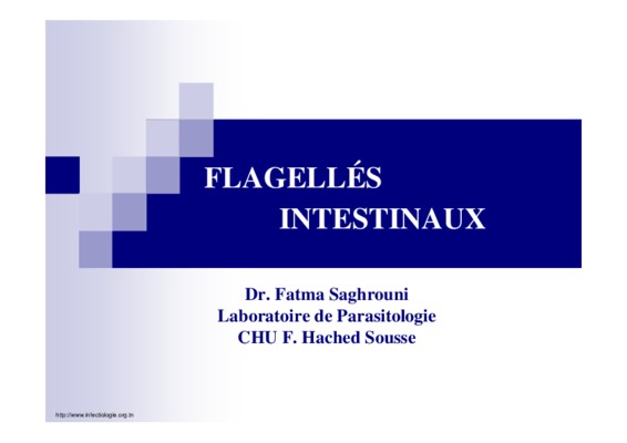 flagelles Book