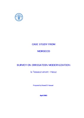 mckinsey morocco study Book