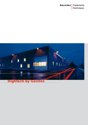 fleiner gerster Book