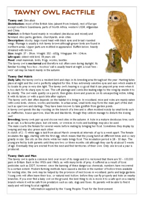 tawny Book