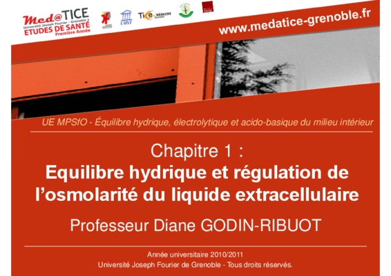 l_ equilibre hydrique dans le nephron Book