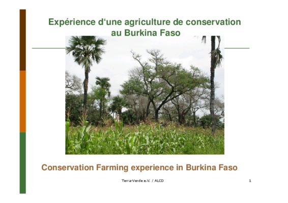 conservation agriculture zambia Book