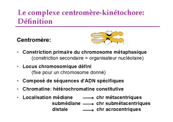 centromere Book