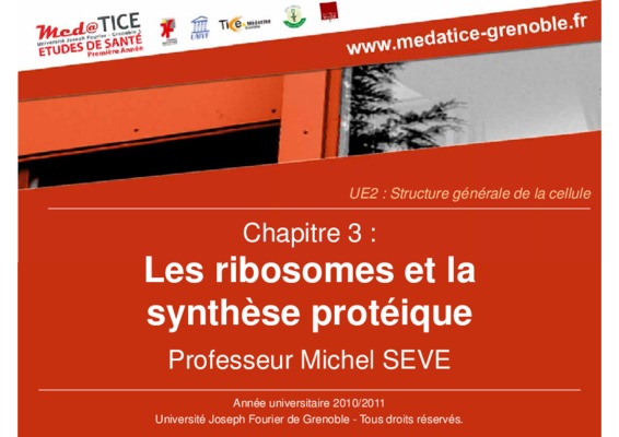 ribozyme Book