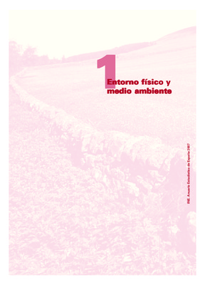 el entorno familiar Book