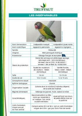 oiseaux inseparables Book