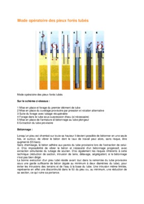 mode operatoire des pieux forees simples Book