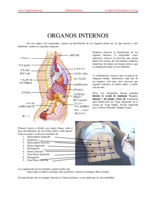 organos zang fu Book