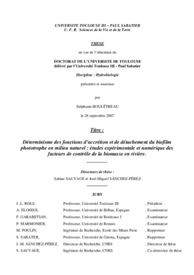 ice accretion Book