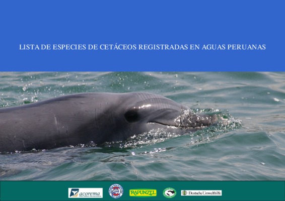 cetaceos Book