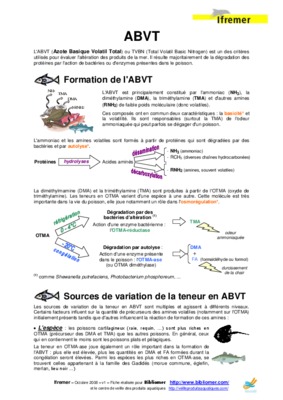 abvt et tma Book