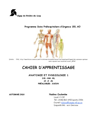 cahier apprentissage 4ans Book