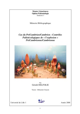 precambrien en afrique Book