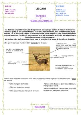 le daim guide d_elevage Book