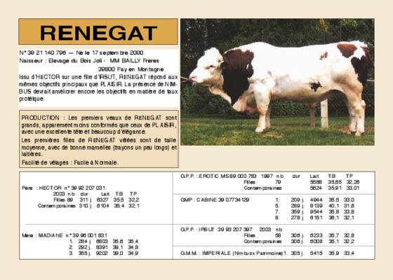 renegat Book