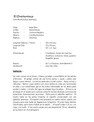 ornitorrinco Book