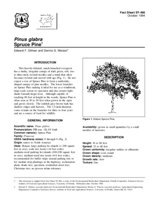 glabra Book