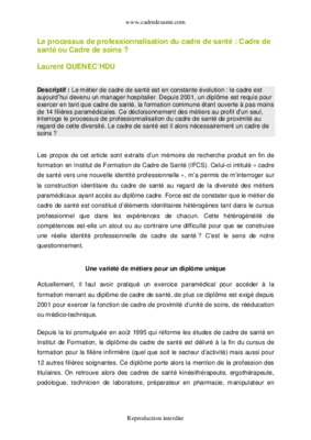 professionalisation Book