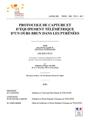 telemetrique Book