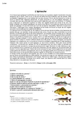 epinoche Book