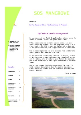 paletuvier Book