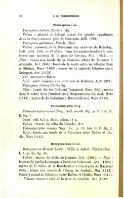 tulcea Book