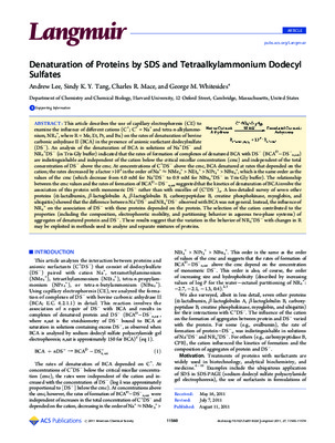 dodecyl Book