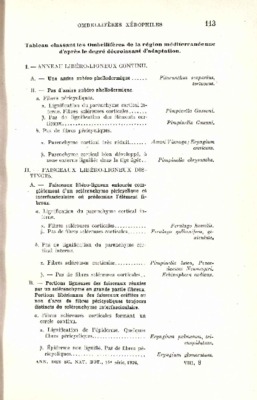 ombelliferes Book