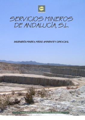 mineros a Book