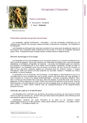 myriapodes Book