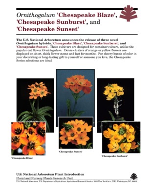 chesapeake Book