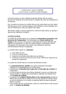 audit interne gestion des risques Book