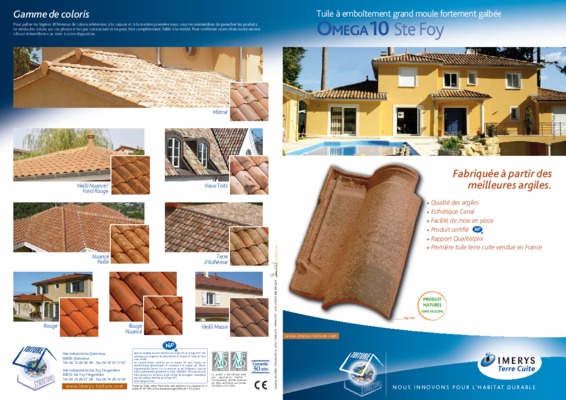 foy sibour Book