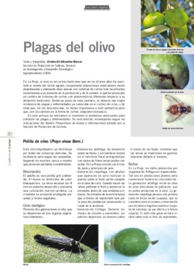 plagas Book