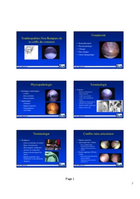 test tendinopathies Book
