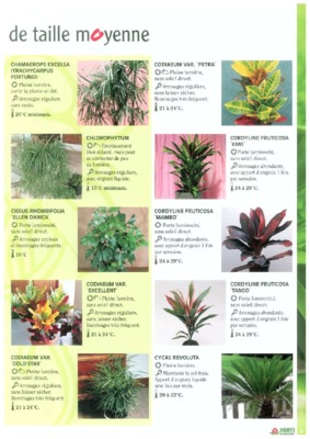 horti Book