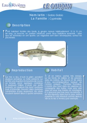 barbillons Book