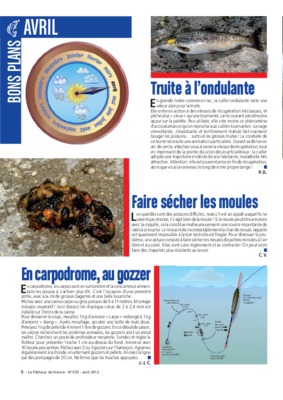 ondulante Book