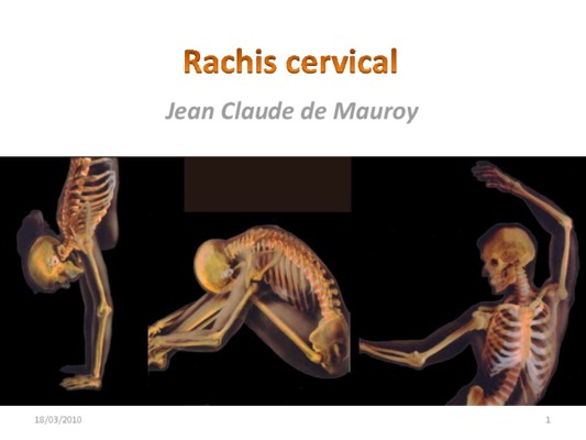 mauroy Book