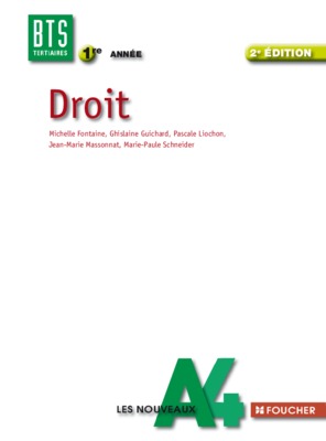 l acces a une activite professionnelle Book