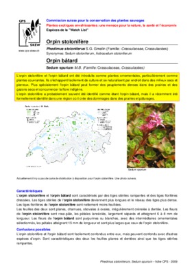 stolonifere Book