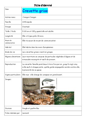 arthropode 8 Book