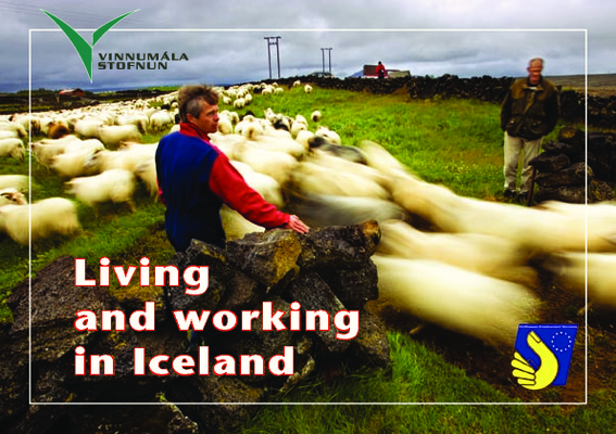 iceland 40 Book