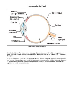 anatomie oeil cheval Book