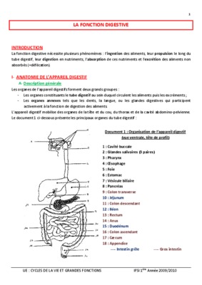 fonction digestive Book
